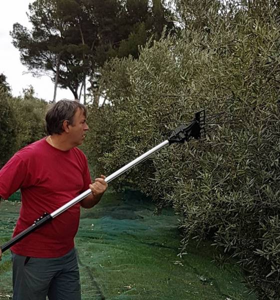 location de peigne à olives velaux particuliers