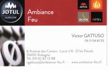 vente et pose de poeles à bois, granulés et mixtes aubagne 13400 Ambiance Feu